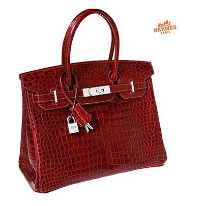 hermes birkin