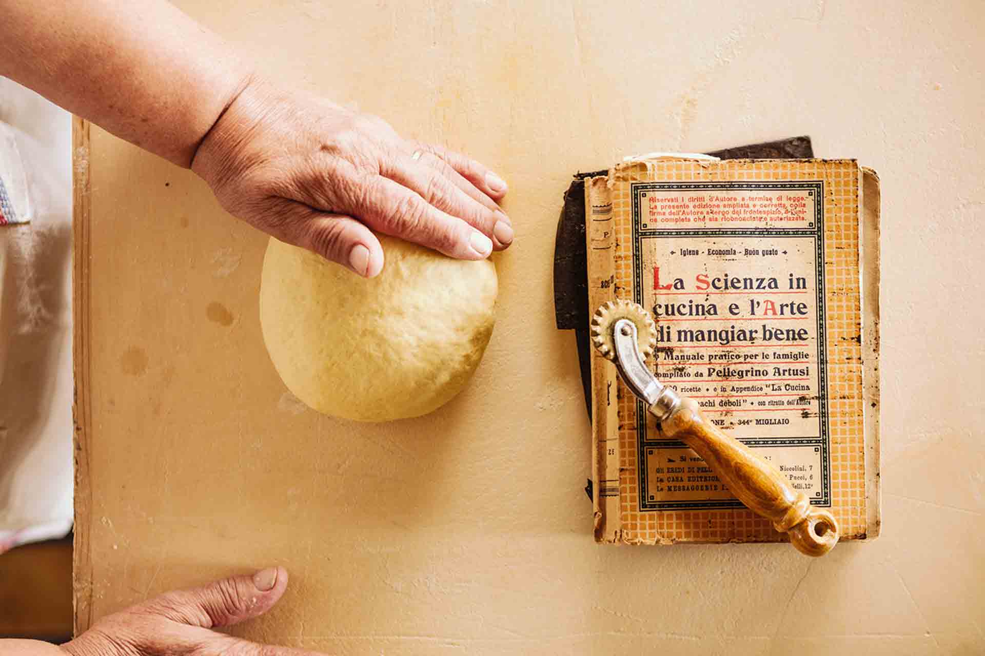 la cucina casalinga di pellegrino artusi 