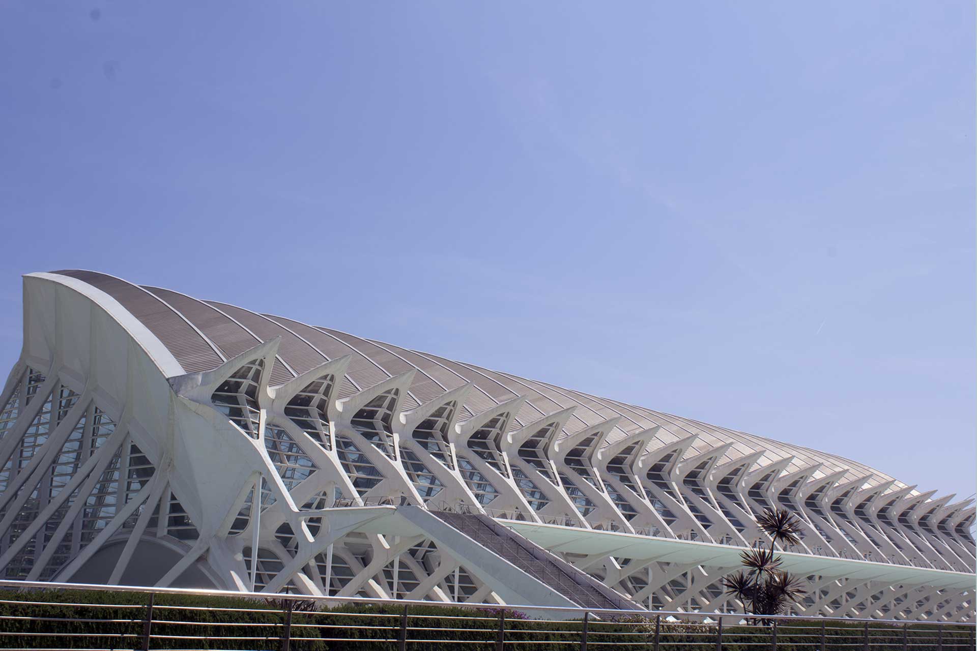 Valencia cita delle arti e delle scienze