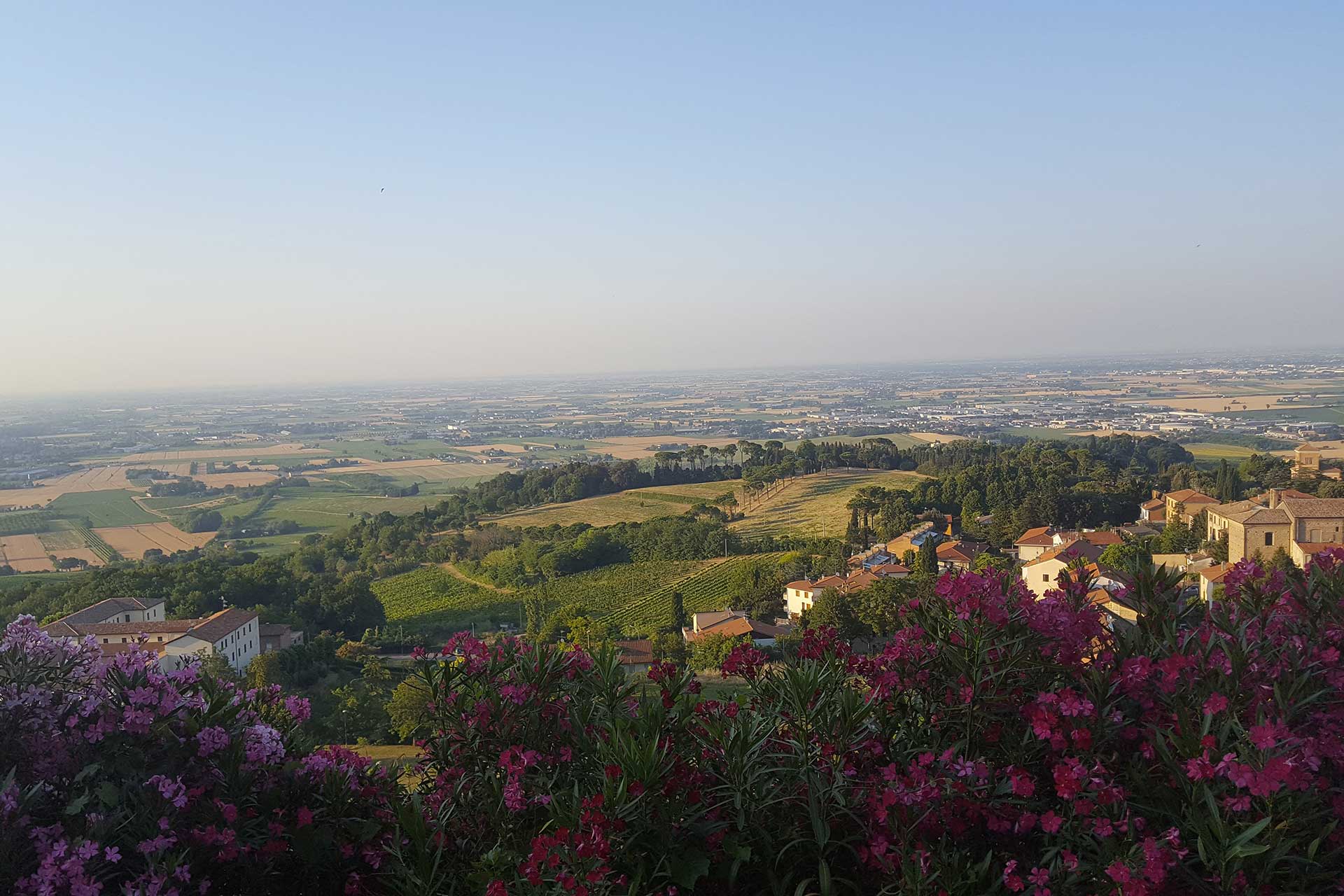 tramonto estivo bertinoro