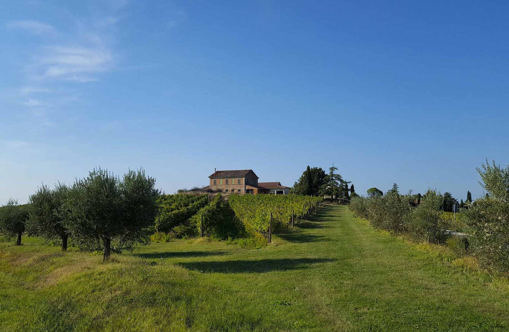 colline della riviera romagnola