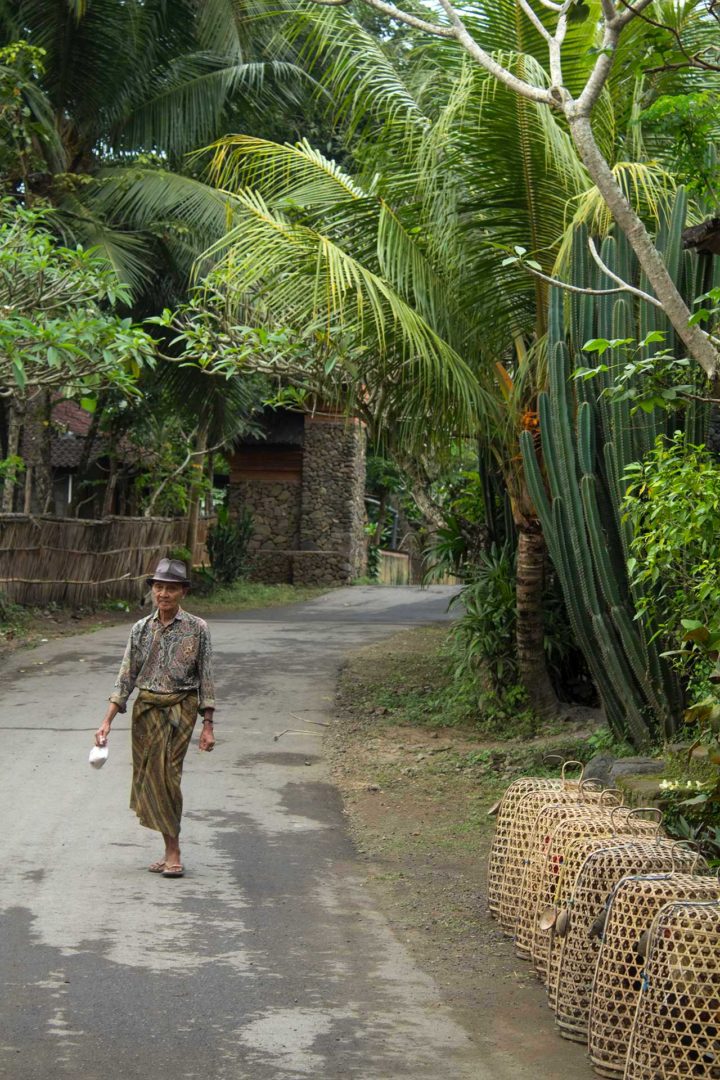 indonesia, bali, villaggio tradizionale 