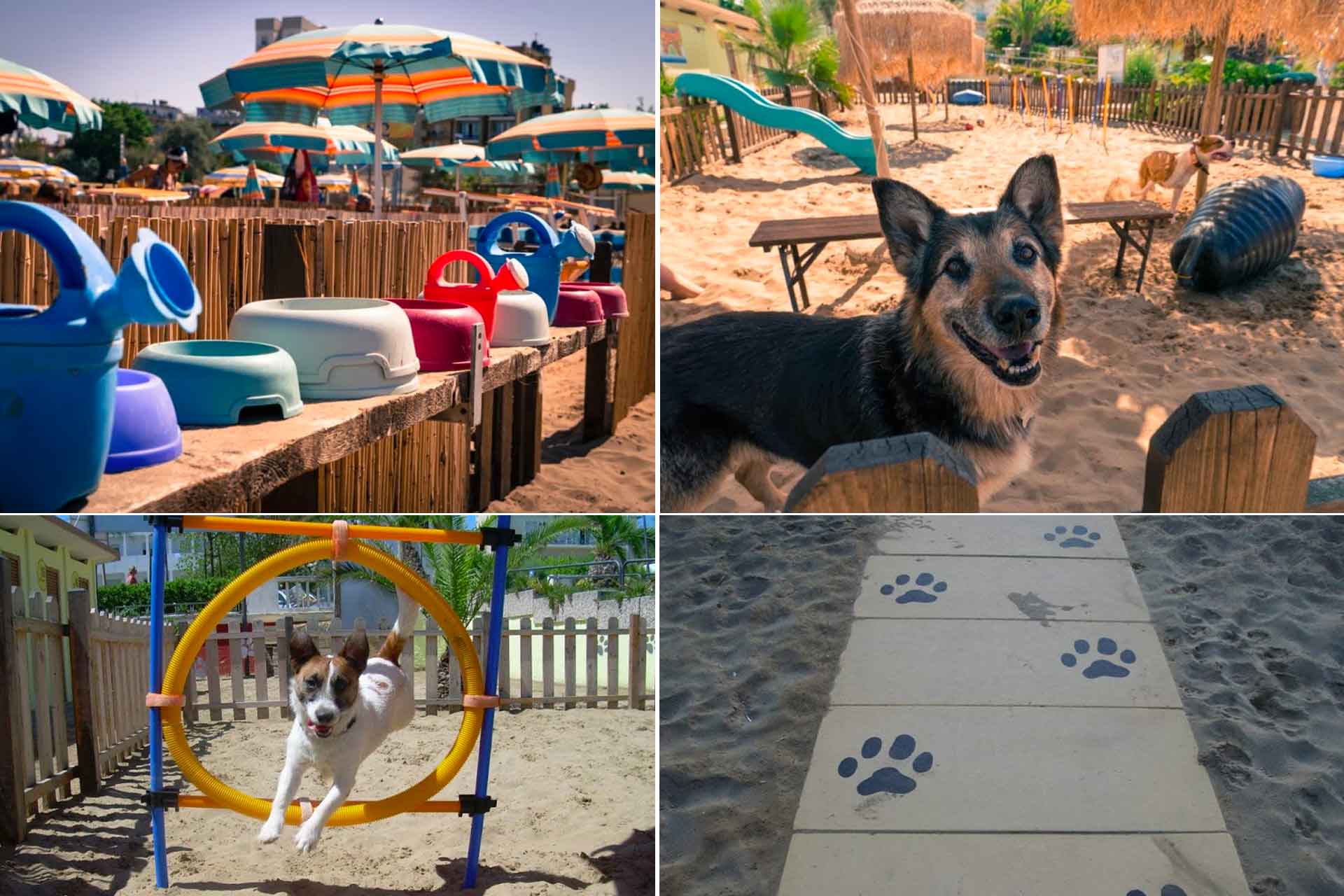 rimini vacanze con il cane