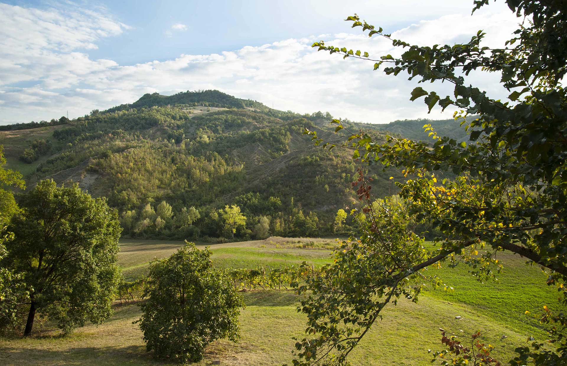 Due Bed And Breakfast Da Sogno In Emilia Romagna, Tra Bologna E Bertinoro