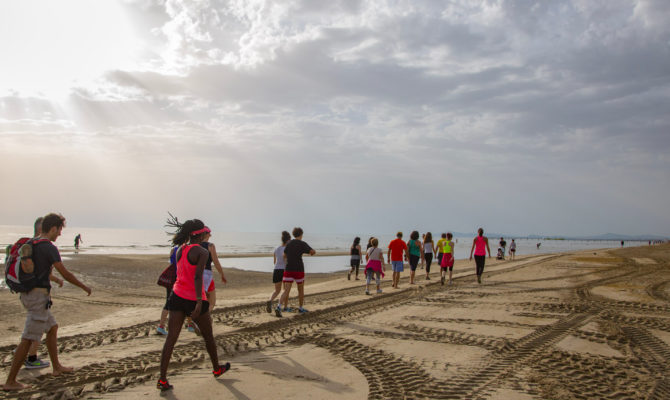 Camminata In Spiaggia