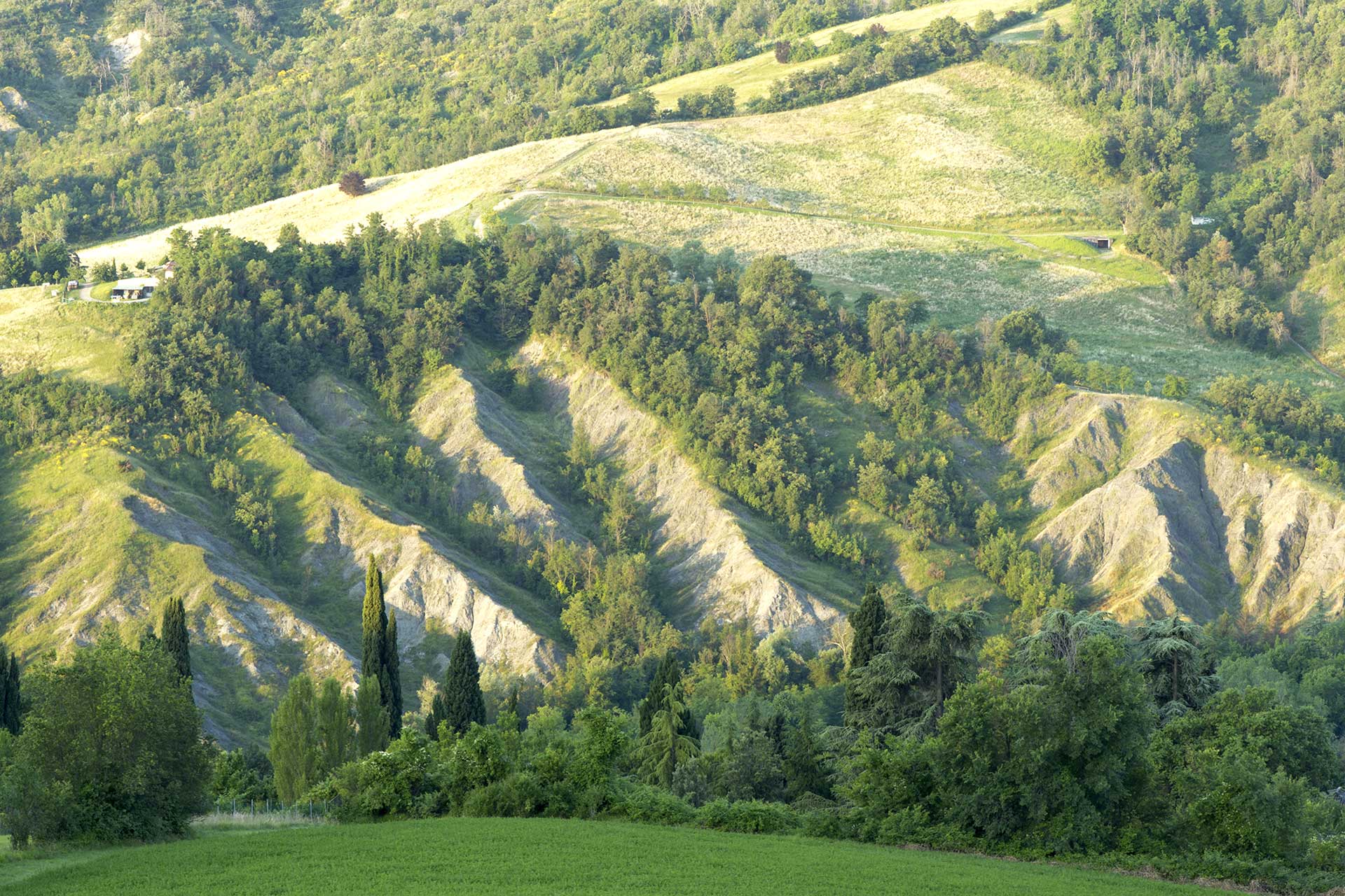 calanchi bologna