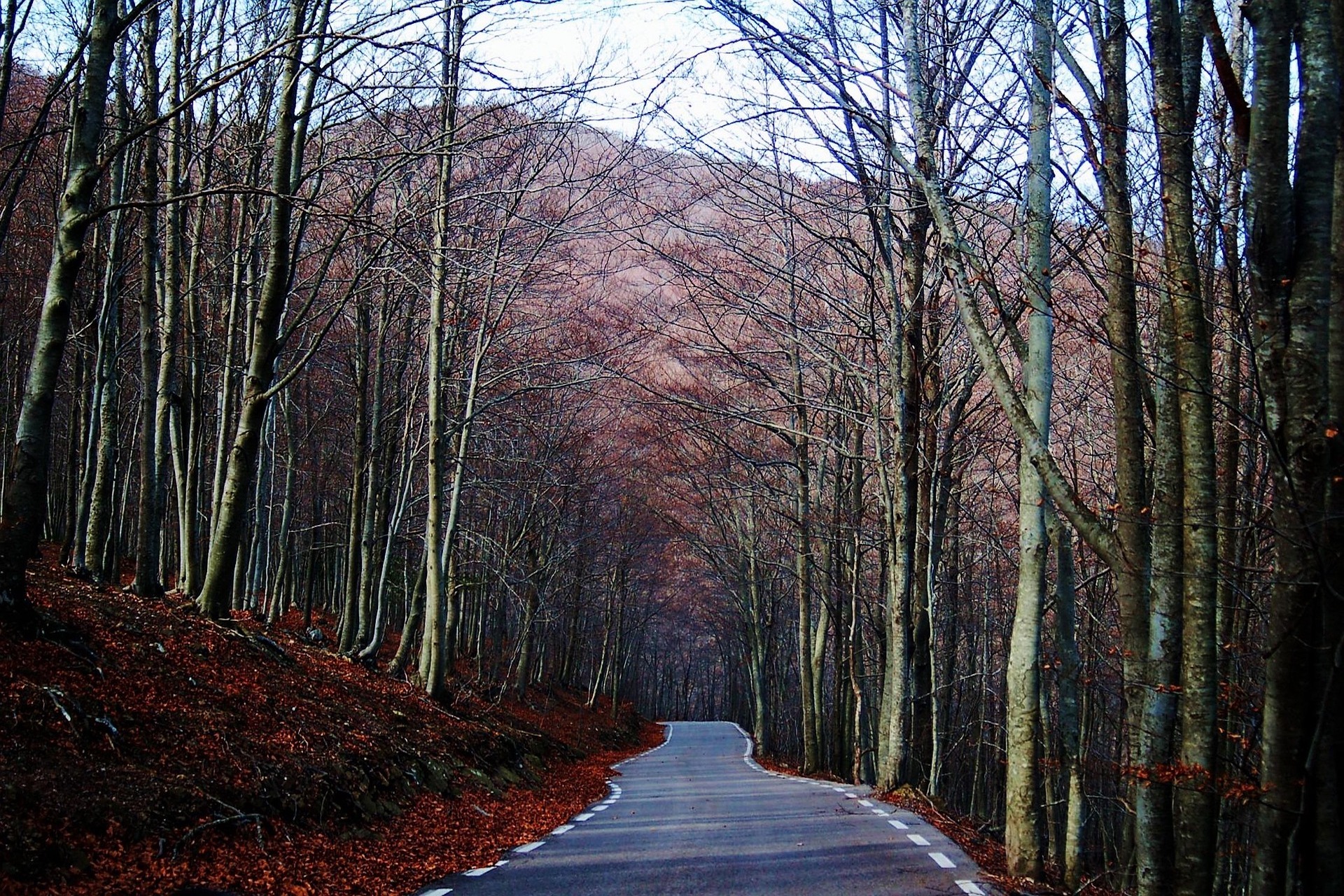 strada di montagna