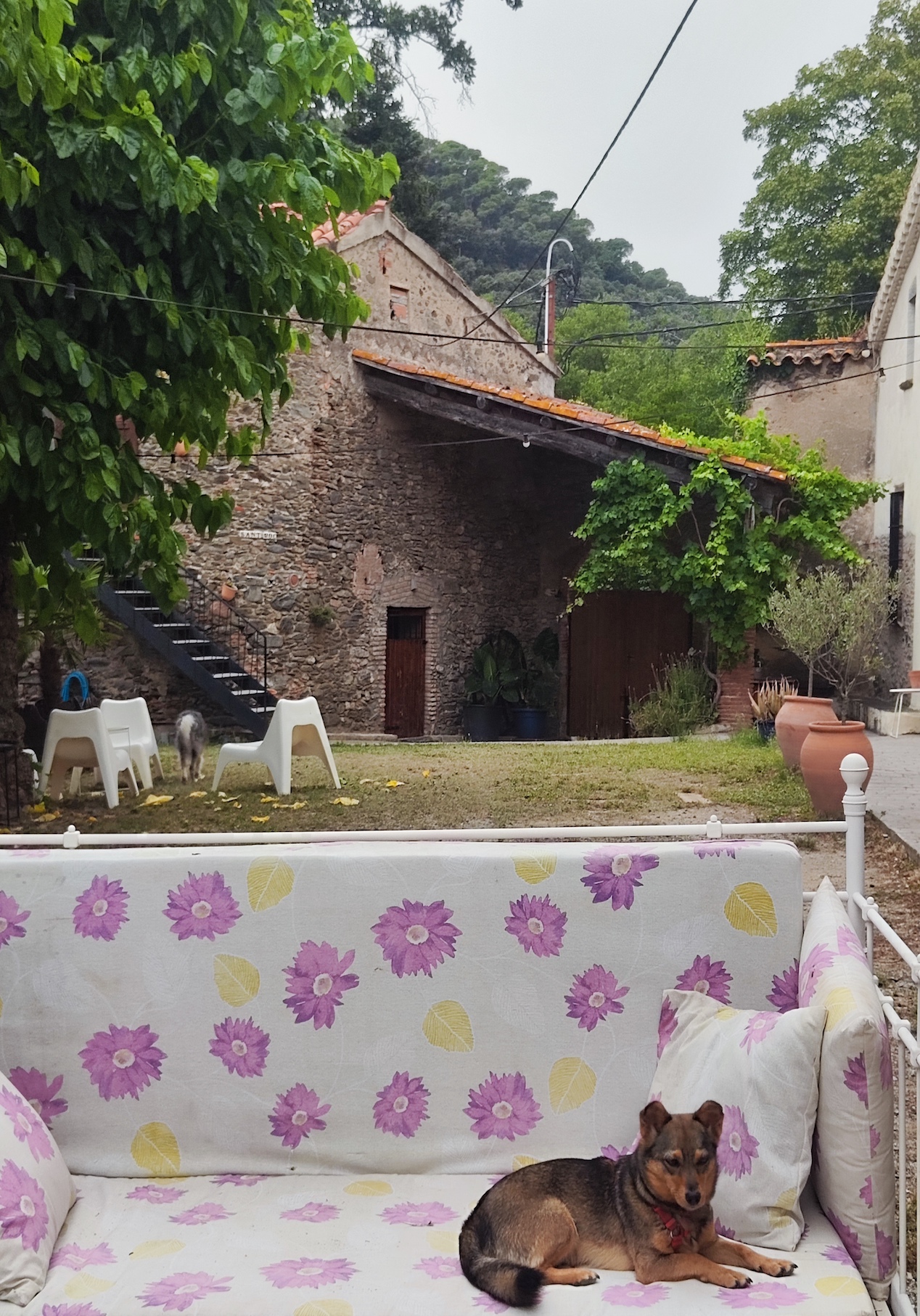 indirizzi pet frienndly nel Montseny