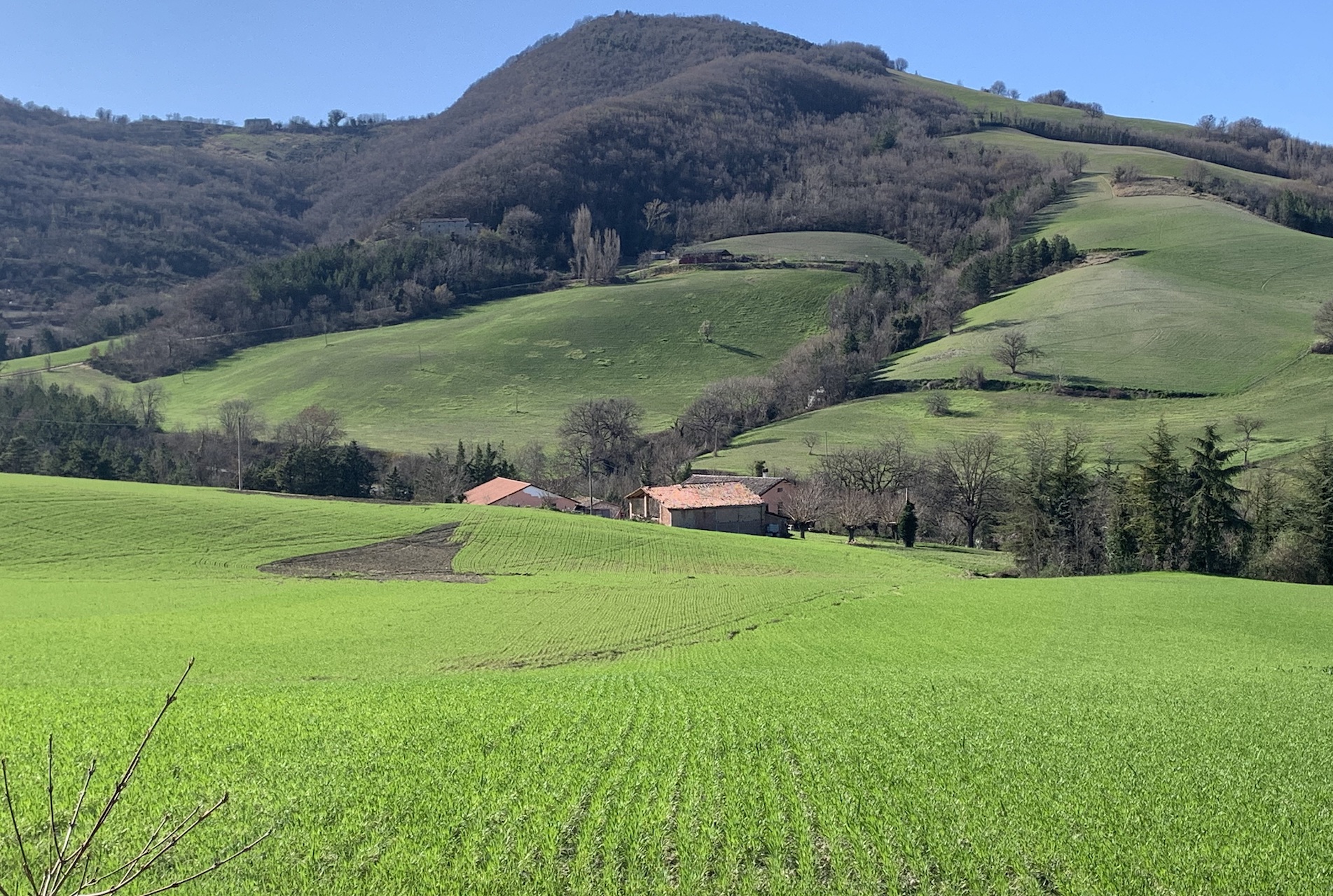campagne monntefeltro destinazione pet friendly
