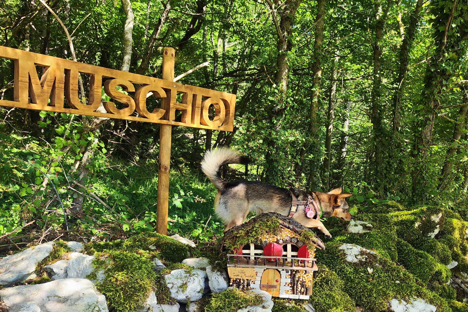 weekend pet friendly in romagna
